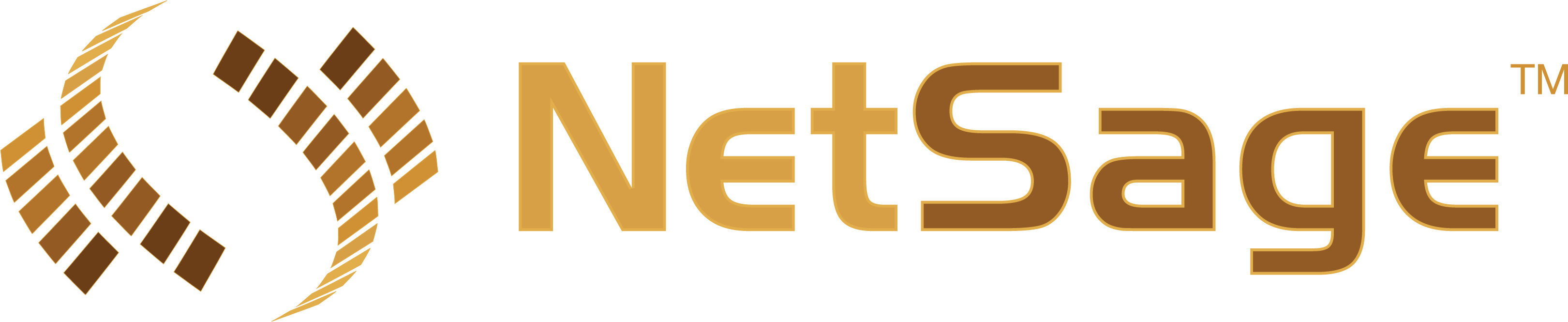 NetSage Logo