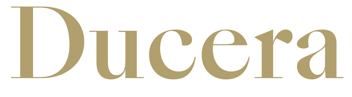 Ducera Partners - Campus Hires Logo